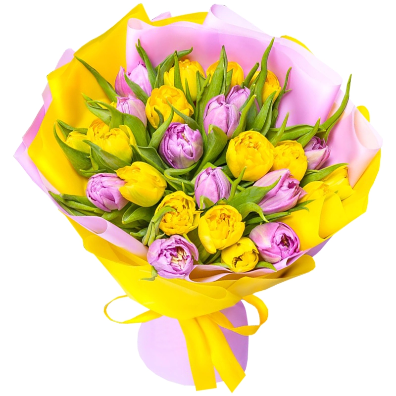 25 пионовидных тюльпанов