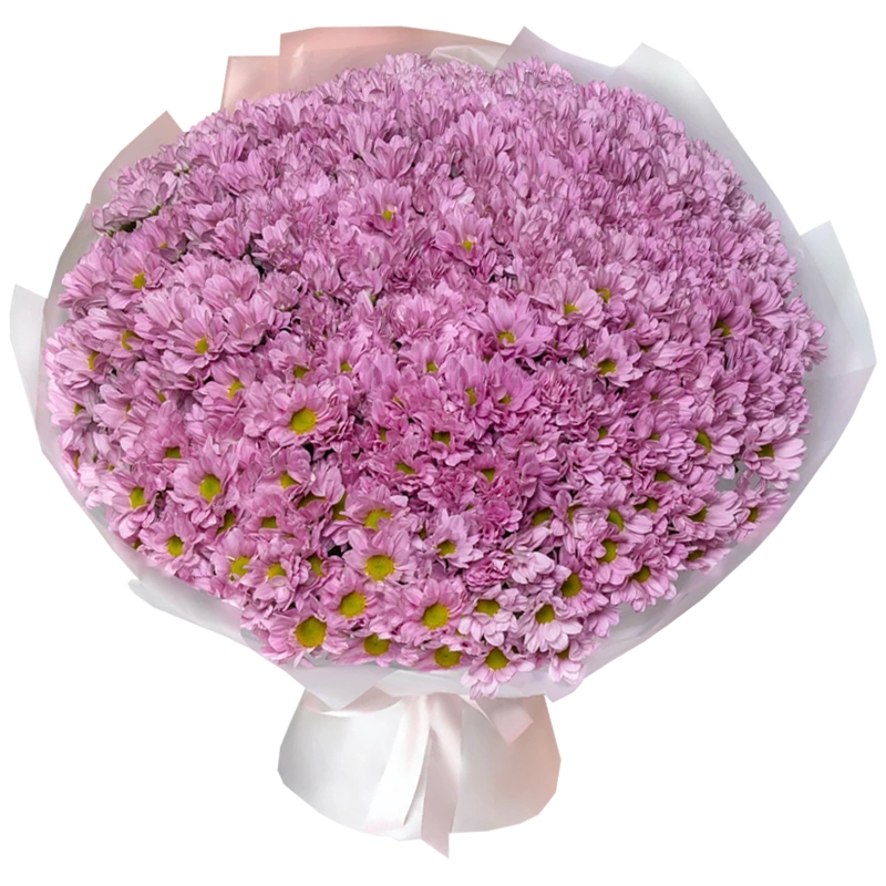 Букет из 51 розовой кустовой хризантемы