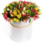 Цветы в коробке Линетт